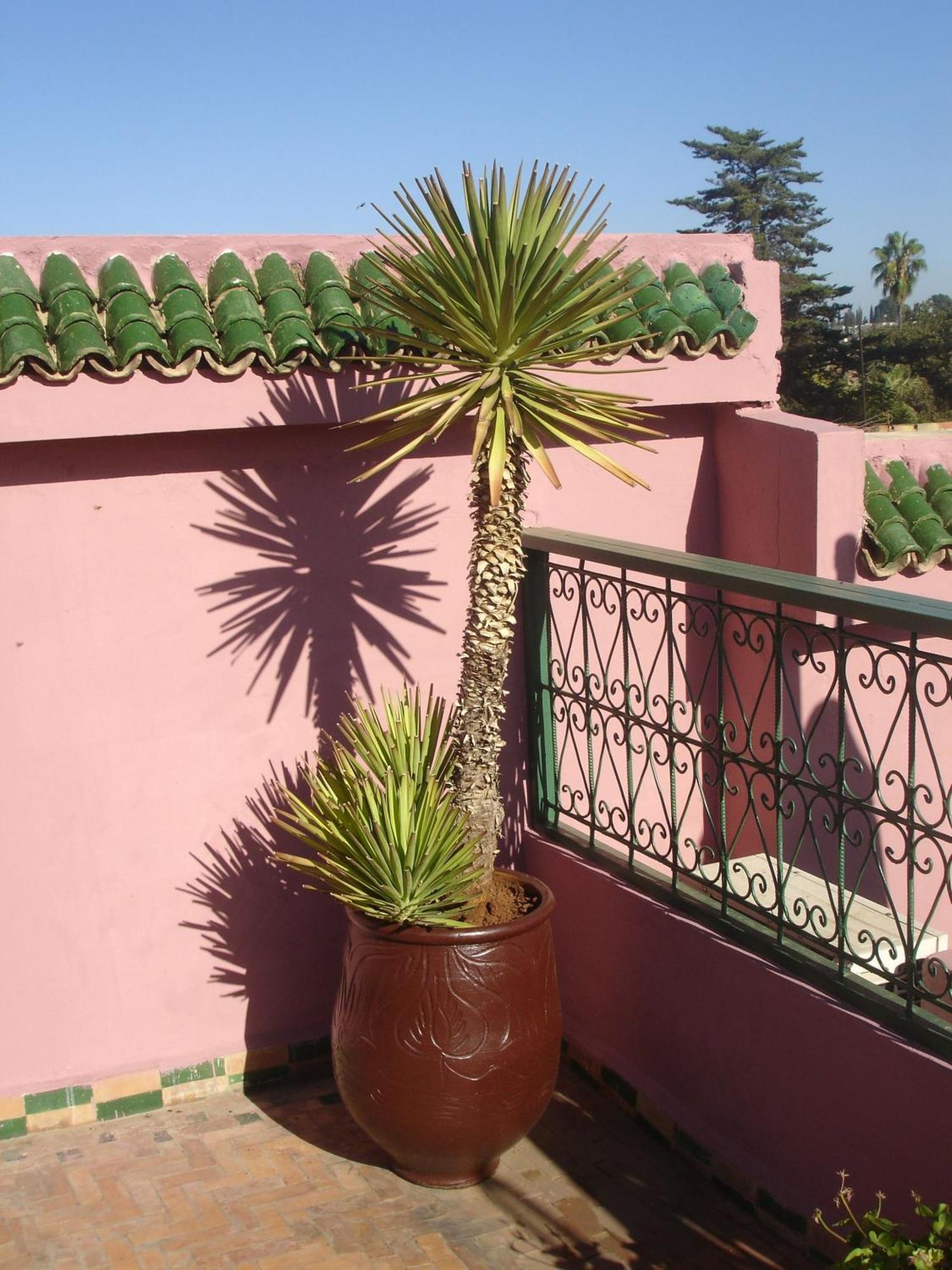 Riad Lahboul Meknes Exterior photo