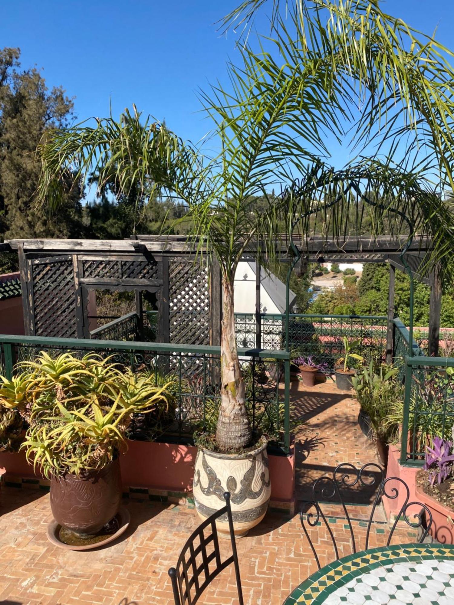 Riad Lahboul Meknes Exterior photo